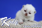 Kody ist 2 Wochen alt ( 22.05.2021 )