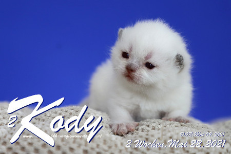 Kody ist 2 Wochen alt ( 22.05.2021 )