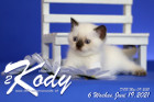 Kody ist 6 Wochen alt ( 19.06.2021 )