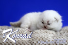 Konrad ist 2 Wochen alt ( 22.05.2021 )