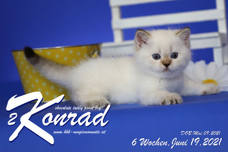 Konrad ist 6 Wochen alt ( 19.06.2021 )