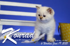 Konrad ist 6 Wochen alt ( 19.06.2021 )