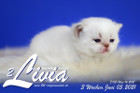 Livia ist 3 Wochen alt ( 05.06.2021 )