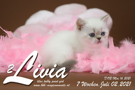 Livia ist 7 Wochen alt ( 02.07.2021 )