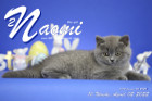 Naomi ist 10 Wochen alt ( 02.04.2022 )