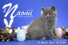 Naomi ist 10 Wochen alt ( 02.04.2022 )