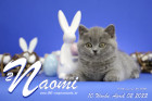 Naomi ist 10 Wochen alt ( 02.04.2022 )