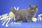 Naomi ist 10 Wochen alt ( 02.04.2022 )