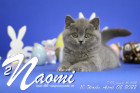 Naomi ist 10 Wochen alt ( 02.04.2022 )