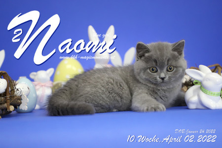 Naomi ist 10 Wochen alt ( 02.04.2022 )