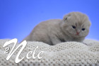 Nele ist 12 Tage alt ( 05.02.2022 )