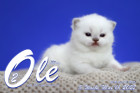 Ole ist in der 3.Lebenswoche ( 01.05.2022 )