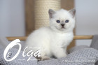 Olga ist in der 7.Lebenswoche ( 28.05.2022 )