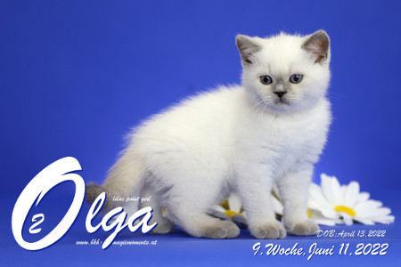 Olga ist in der 9.Lebenswoche ( 11.06.2022 )