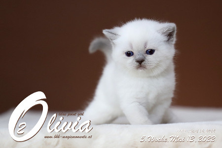 Olivia ist in der 5.Lebenswoche ( 13.05.2022 )