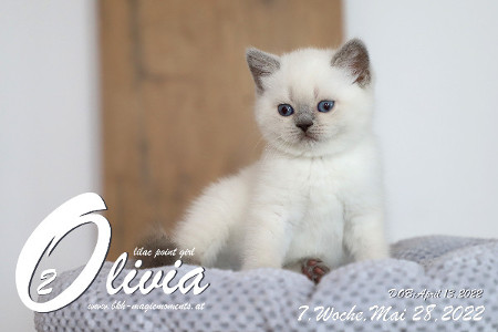 Olivia ist in der 7.Lebenswoche ( 28.05.2022 )