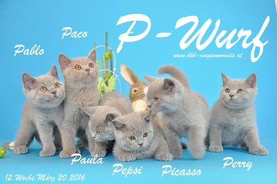 Pablo ist 12 Wochen alt geworden ( 20.03.2016 )