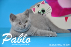 Pablo ist 10 Wochen alt geworden ( 06.03.2016 )