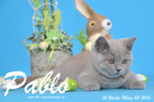 Pablo ist 12 Wochen alt geworden ( 20.03.2016 )
