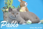 Pablo ist 12 Wochen alt geworden ( 20.03.2016 )