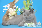Pablo ist 12 Wochen alt geworden ( 20.03.2016 )