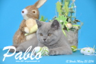 Pablo ist 12 Wochen alt geworden ( 20.03.2016 )