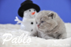 Pablo ist 3 Wochen alt geworden ( 17.01.2016 )