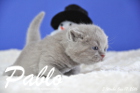 Pablo ist 3 Wochen alt geworden ( 17.01.2016 )