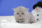 Pablo ist 3 Wochen alt geworden ( 17.01.2016 )