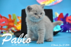Pablo ist 5 Wochen alt geworden ( 31.01.2016 )