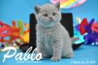 Pablo ist 5 Wochen alt geworden ( 31.01.2016 )