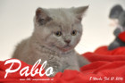 Pablo ist 8 Wochen alt geworden ( 21.02.2016 )