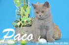 Paco ist 12 Wochen alt geworden ( 20.03.2016 )