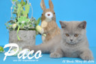 Paco ist 12 Wochen alt geworden ( 20.03.2016 )