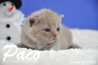 Paco ist 3 Wochen alt geworden ( 17.01.2016 )