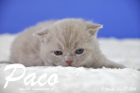 Paco ist 3 Wochen alt geworden ( 17.01.2016 )
