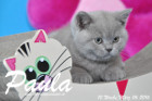 Paula ist 10 Wochen alt geworden ( 06.03.2016 )