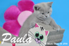 Paula ist 10 Wochen alt geworden ( 06.03.2016 )