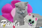 Paula ist 10 Wochen alt geworden ( 06.03.2016 )