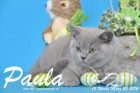 Paula ist 12 Wochen alt geworden ( 20.03.2016 )