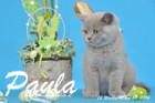 Paula ist 12 Wochen alt geworden ( 20.03.2016 )