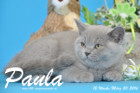 Paula ist 12 Wochen alt geworden ( 20.03.2016 )