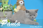 Paula ist 12 Wochen alt geworden ( 20.03.2016 )