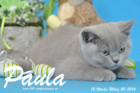 Paula ist 12 Wochen alt geworden ( 20.03.2016 )