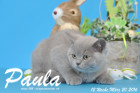 Paula ist 12 Wochen alt geworden ( 20.03.2016 )