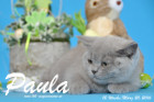 Paula ist 12 Wochen alt geworden ( 20.03.2016 )