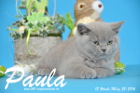 Paula ist 12 Wochen alt geworden ( 20.03.2016 )