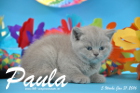 Paula ist 5 Wochen alt geworden ( 31.01 2016 )