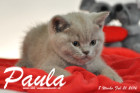 Paula ist 8 Wochen alt geworden ( 21.02.2016 )