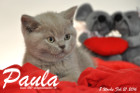 Paula ist 8 Wochen alt geworden ( 21.02.2016 )